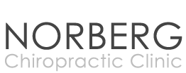 norberg-logo-top Chiropractic Mokena IL Office Norberg Chiropractic Clinic Logo